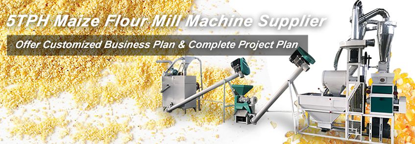 Mini Maize Flour Milling Unit