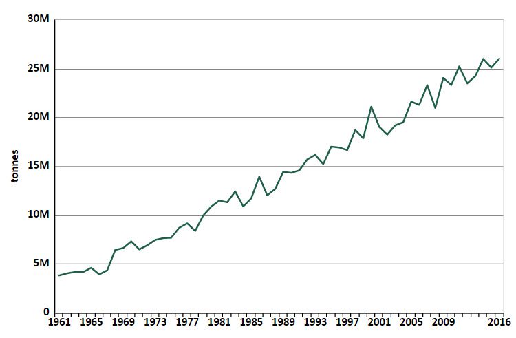 Pakistan wheat production