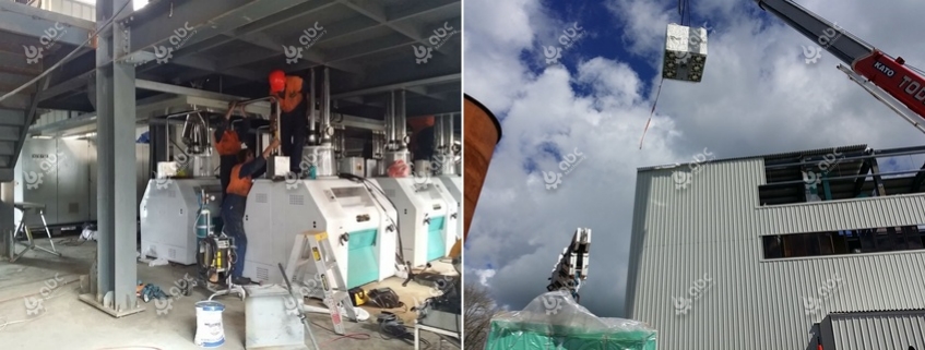 maize flour milling plant setup cost