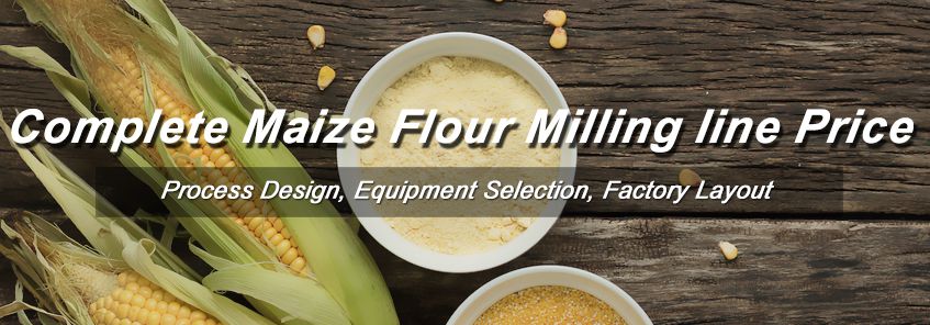 setting up a maize milling factory