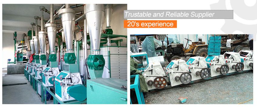 Complete Small Flour Milling Machine Plant