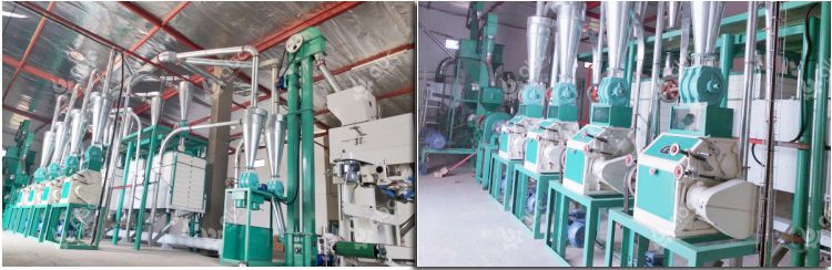 advantages of maize flour mill machinery