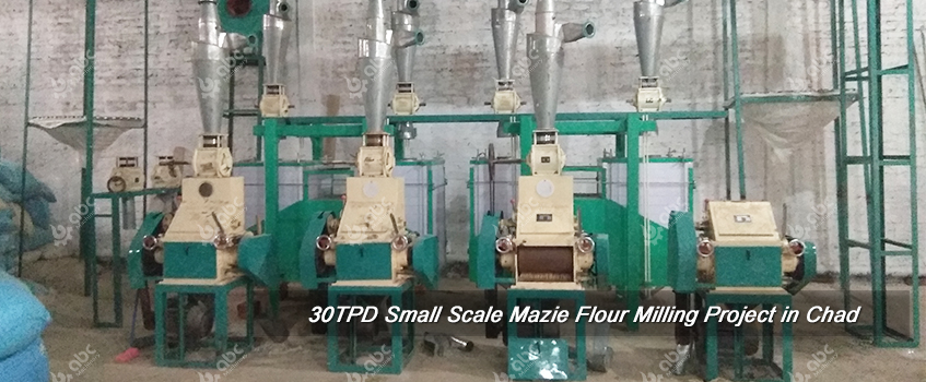 small sacle maize flour milling plant setup