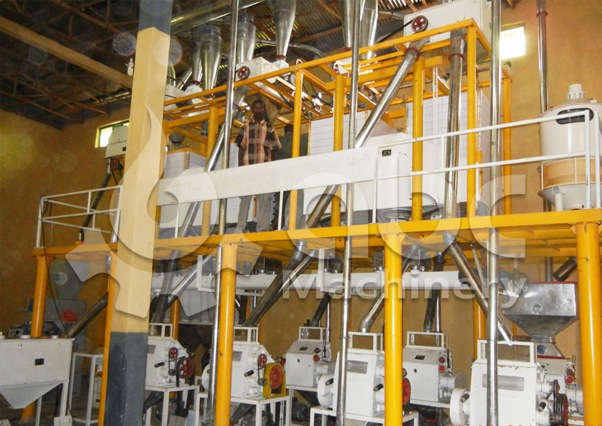 setting up a wheat flour milling plant for sale
