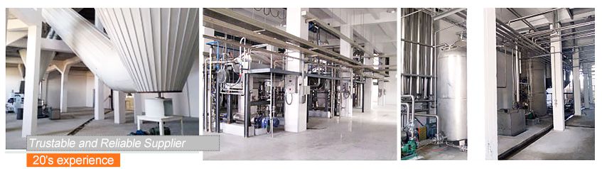 Soy Protein Isolate Production Plant