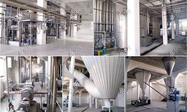 soybean protein powder processing factory