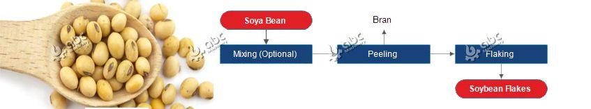 Soybeans Pretreatment Process