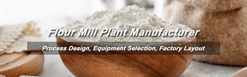 start flour mill business