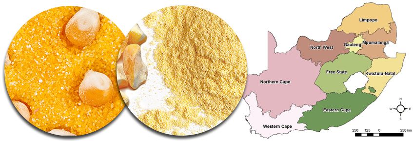 Start Maize Flour Milling Business in South Africa