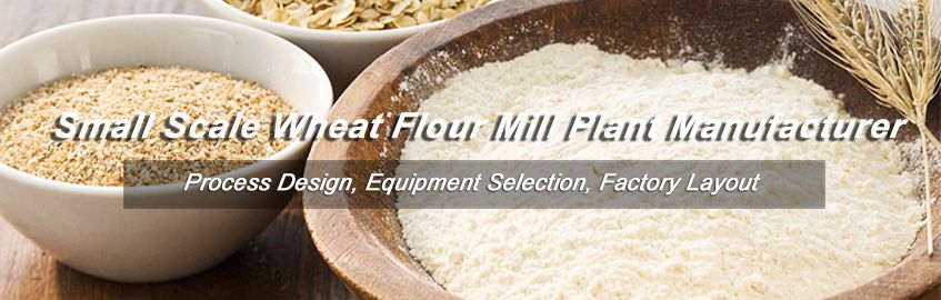 Start Wheat Flour Milling Business