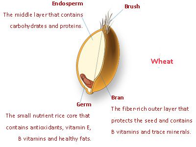 wheat composition