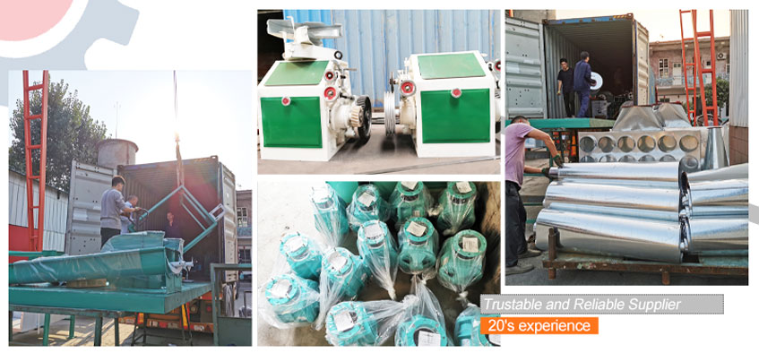 how much is the cost of small wheat flour mill plant in Ethiopia