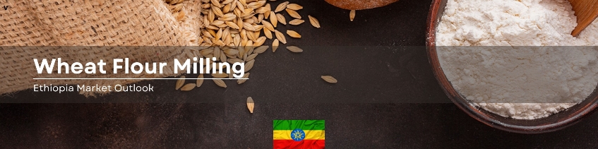 wheat flour mill plant cost ethiopia