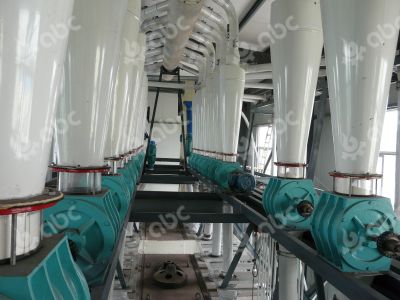 wheat flour milling plant