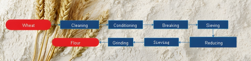 designj customized flour mill process for your plant
