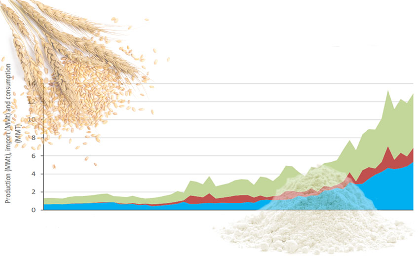 small wheat flour mill business plan pdf