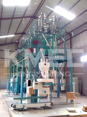 whole maize flour plant after installation