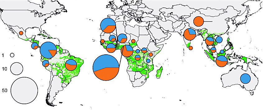 TOP cassava production Countries