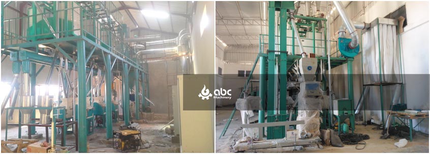 zambia wheat maize mill plant project cost 